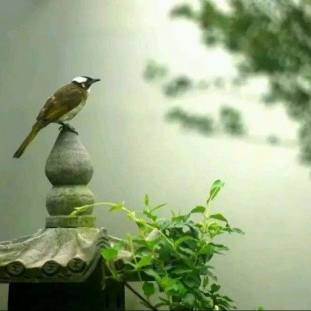 myphoto.jpg
